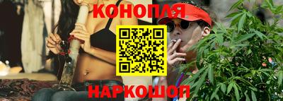 сатива Славгород